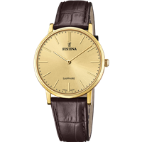 Watch Festina Man Swiss Made in Steel F20016/2